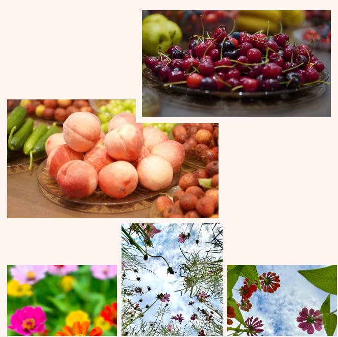 新余青友会活动图集